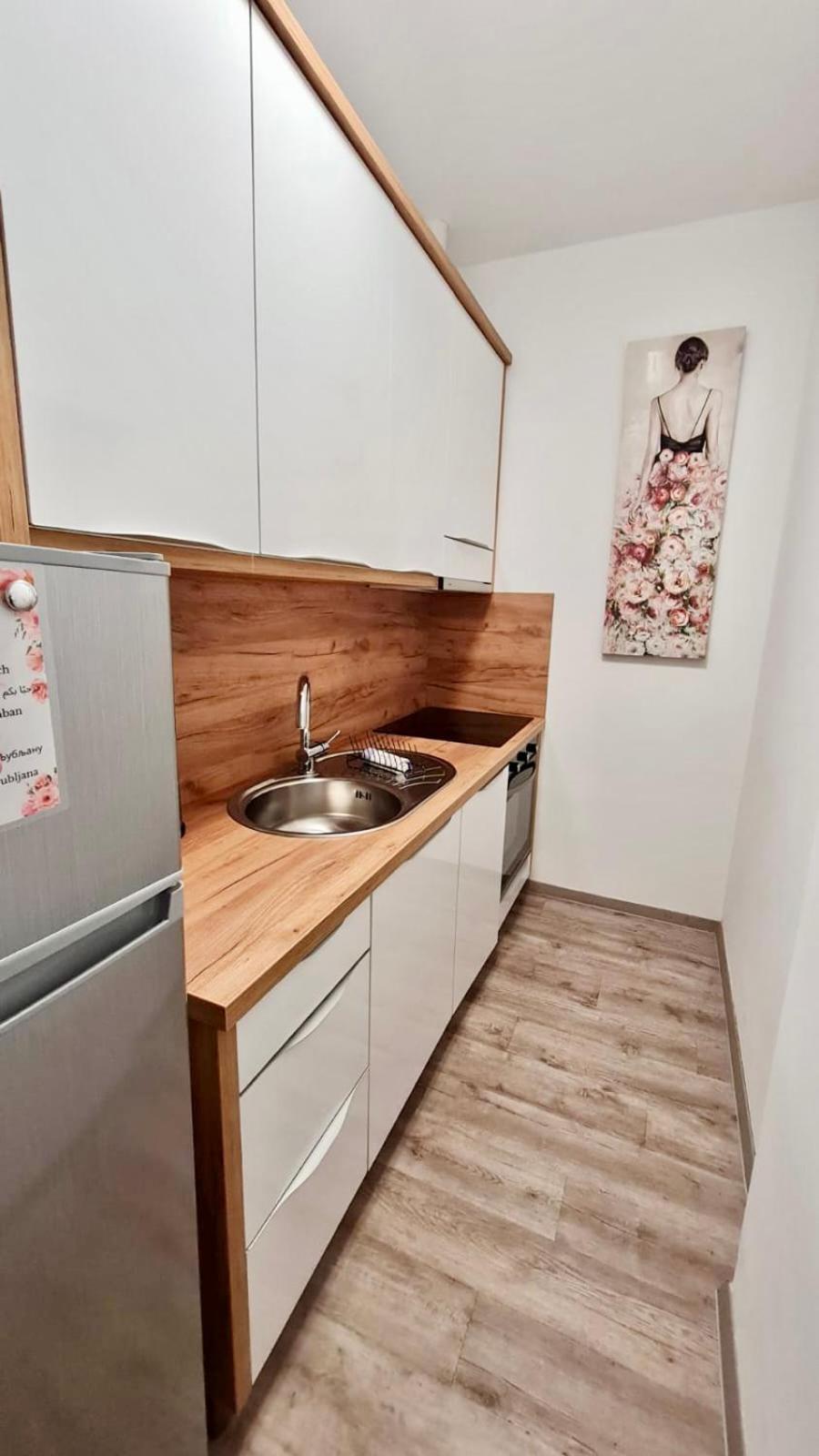 Ljubljana Central Lux Apartment With Free Parking Eksteriør billede